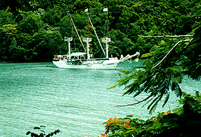 The Sir Francis Drake